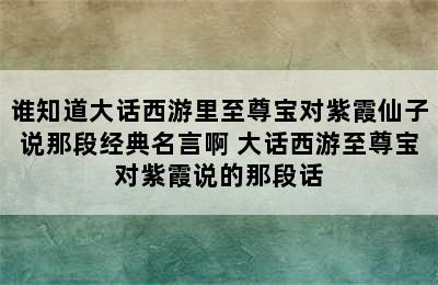 谁知道大话西游里至尊宝对紫霞仙子说那段经典名言啊 大话西游至尊宝对紫霞说的那段话